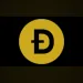 DOGE payment method